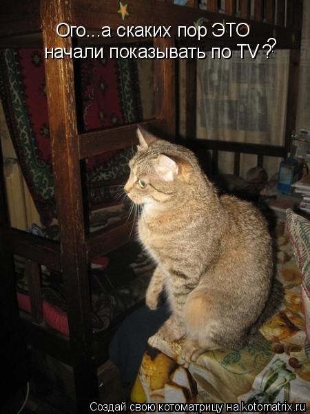 Ого...а скаких пор ЭТО начали показывать по TV ? ?... Котоматрица: Ого...а скаких пор ЭТО начали показывать по TV ? ?