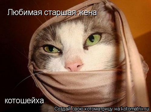 Котоматрица: Любимая старшая жена  котошейха