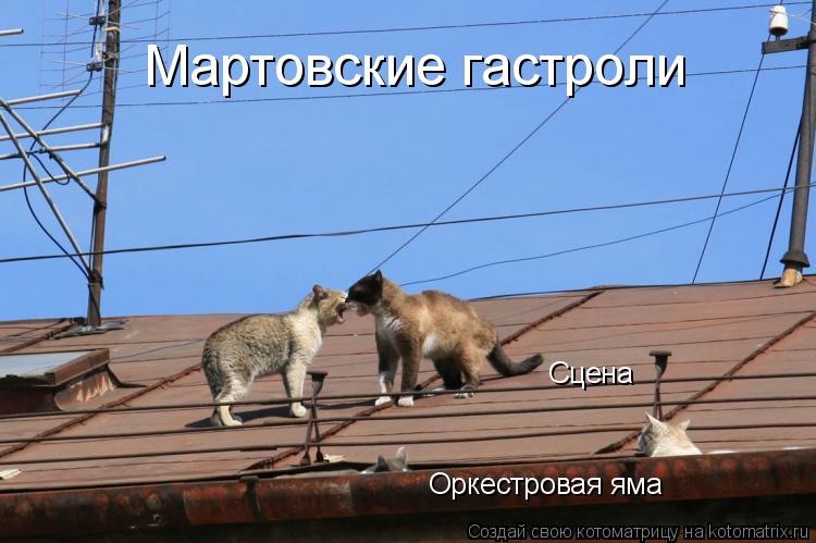 Сцена Оркестровая яма Мартовские гастроли... Котоматрица: Сцена Оркестровая яма Мартовские гастроли