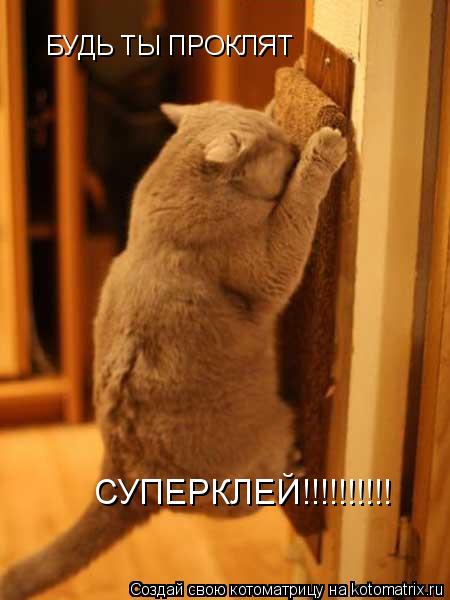 БУДЬ ТЫ ПРОКЛЯТ СУПЕРКЛЕЙ!!!!!!!!!!... Котоматрица: БУДЬ ТЫ ПРОКЛЯТ СУПЕРКЛЕЙ!!!!!!!!!!