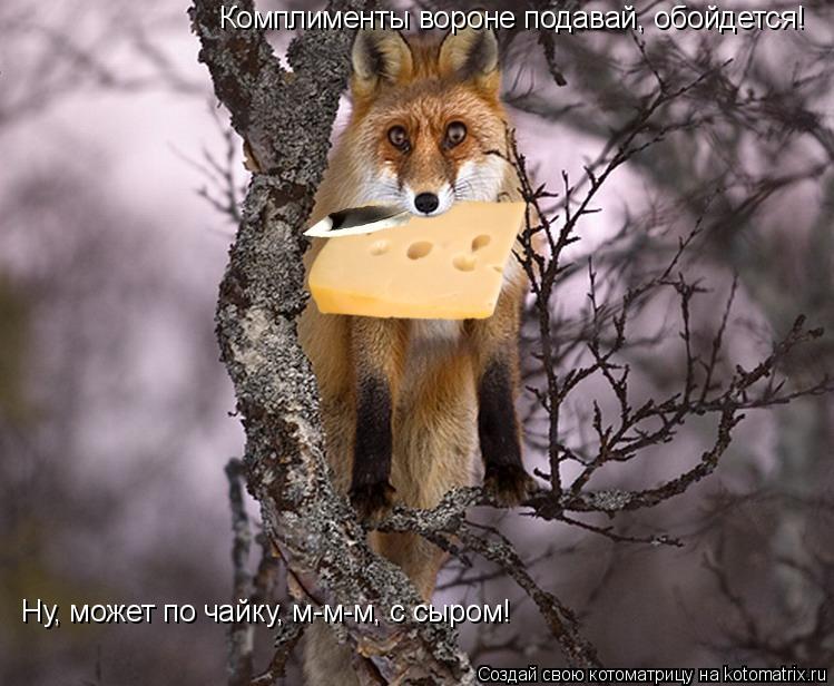 Комплименты вороне подавай, обойдется! Ну, может по чайку, м-м-м, с сыром!... Котоматрица: Комплименты вороне подавай, обойдется! Ну, может по чайку, м-м-м, с сыром!
