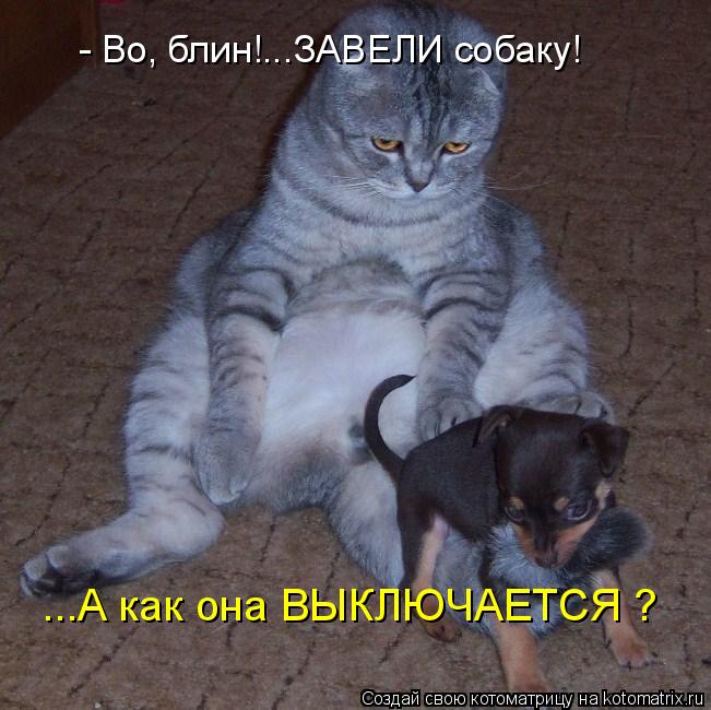 - Во, блин!...ЗАВЕЛИ собаку! ...А как она ВЫКЛЮЧАЕТСЯ ?... Котоматрица: - Во, блин!...ЗАВЕЛИ собаку! ...А как она ВЫКЛЮЧАЕТСЯ ?
