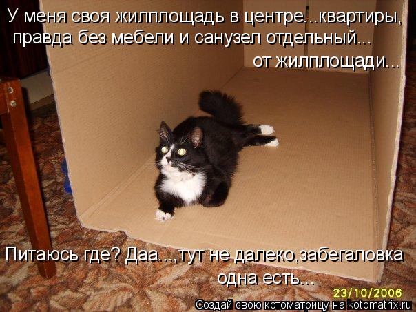 Котоматрица: У меня своя жилплощадь в центре...квартиры, правда без мебели и санузел отдельный... от жилплощади... Питаюсь где? Даа...,тут не далеко,забегало
