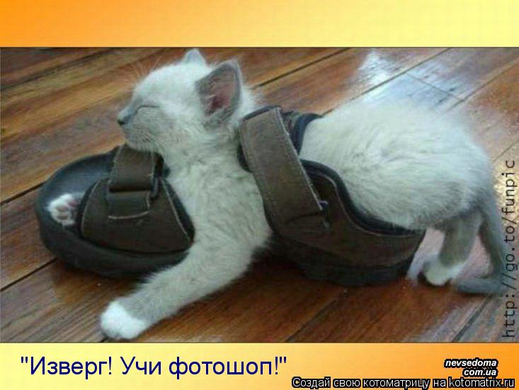 Котоматрица: "Изверг! Учи фотошоп!"