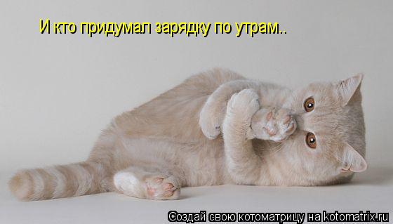И кто придумал зарядку по утрам..... Котоматрица: И кто придумал зарядку по утрам..