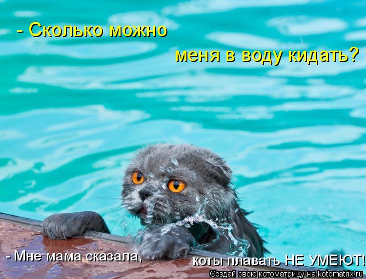 - Сколько можно меня в воду кидать? - Мне мама сказала, коты плавать НЕ УМЕЮТ!... Котоматрица: - Сколько можно меня в воду кидать? - Мне мама сказала, коты плавать НЕ УМЕЮТ!