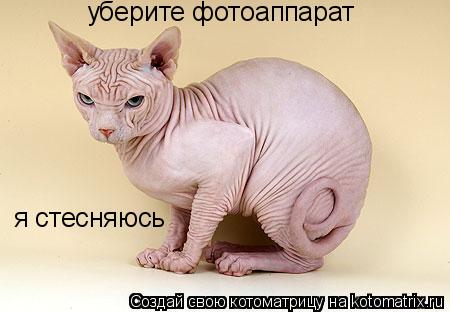 уберите фотоаппарат я стесняюсь... Котоматрица: уберите фотоаппарат я стесняюсь