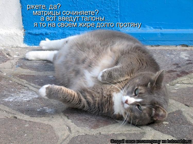ржете, да? матрицы сочиняете? а вот введут талоны... я то на своем жире долго протяну... Котоматрица: ржете, да? матрицы сочиняете? а вот введут талоны... я то на своем жире долго протяну