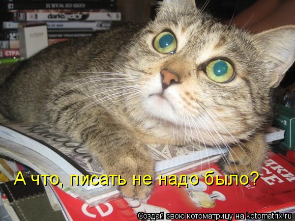 А что, писать не надо было?... Котоматрица: А что, писать не надо было?