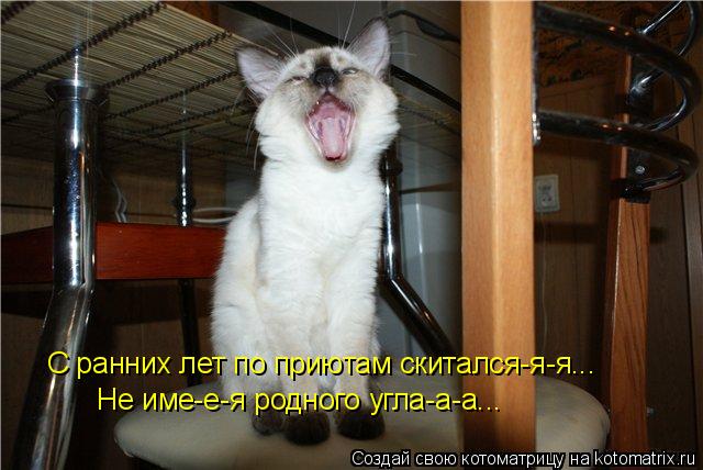 С ранних лет по приютам скитался-я-я... Не име-е-я родного угла-а-а...... Котоматрица: С ранних лет по приютам скитался-я-я... Не име-е-я родного угла-а-а...