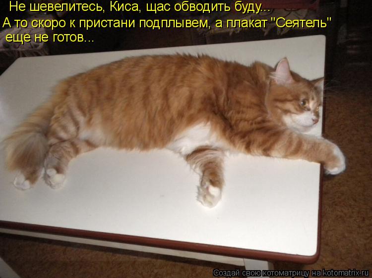 Не шевелитесь, Киса, щас обводить буду... А то скоро к пристани подплывем, а плакат "Сеятель" еще не ... Котоматрица: Не шевелитесь, Киса, щас обводить буду... А то скоро к пристани подплывем, а плакат "Сеятель" еще не готов...