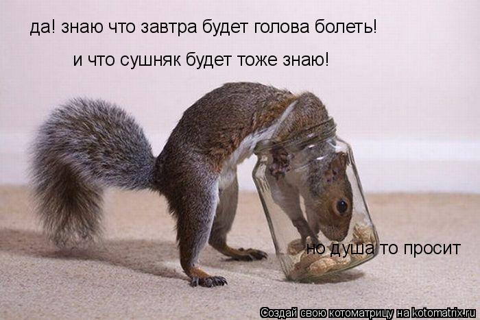 да! знаю что завтра будет голова болеть! и что сушняк будет тоже знаю! но душа то просит... Котоматрица: да! знаю что завтра будет голова болеть! и что сушняк будет тоже знаю! но душа то просит