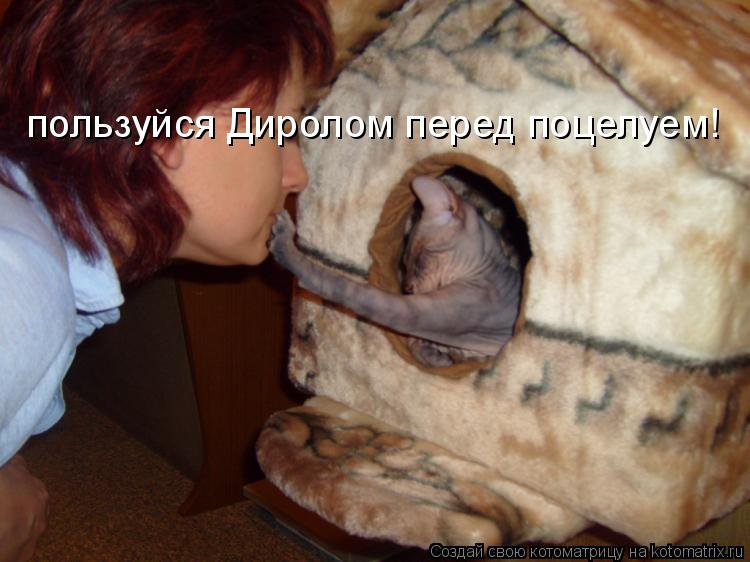 пользуйся Диролом перед поцелуем!... Котоматрица: пользуйся Диролом перед поцелуем!