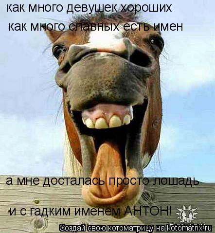 как много девушек хороших как много славных есть имен а мне досталась просто лошадь и с гадким имене... Котоматрица: как много девушек хороших как много славных есть имен а мне досталась просто лошадь и с гадким именем АНТОН!
