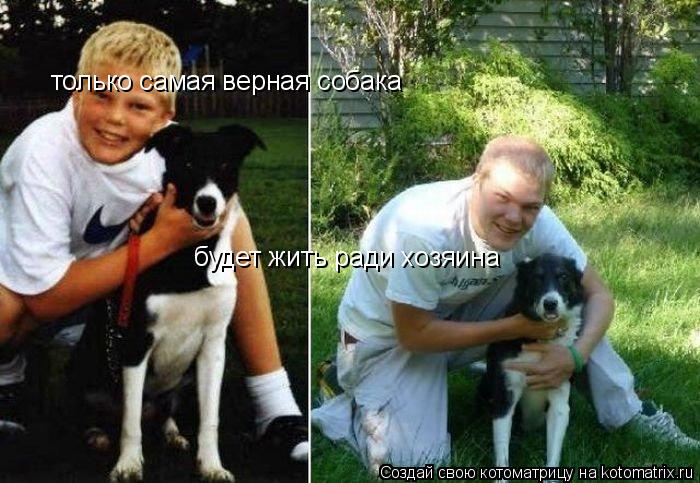 только самая верная собака будет жить ради хозяина... Котоматрица: только самая верная собака будет жить ради хозяина