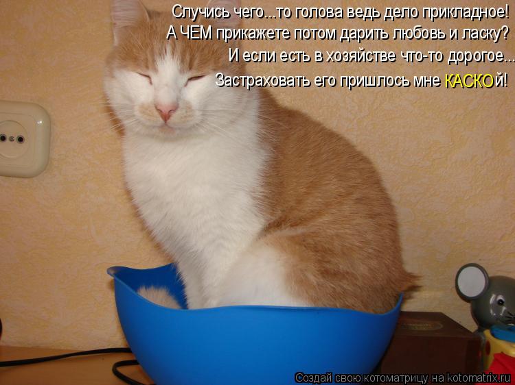А ЧЕМ прикажете потом дарить любовь и ласку? Случись чего...то голова ведь дело прикладное! И если ес... Котоматрица: А ЧЕМ прикажете потом дарить любовь и ласку? Случись чего...то голова ведь дело прикладное! И если есть в хозяйстве что-то дорогое... КАСКО Зас