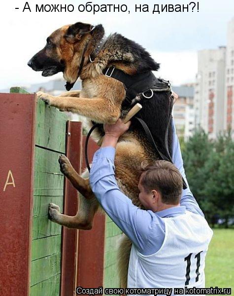 Котоматрица: - А можно обратно, на диван?!