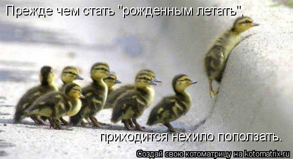 Котоматрица: Прежде чем стать "рожденным летать", приходится нехило поползать.