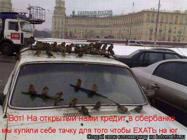 Котоматрица: Вот! На открытый нами кредит в сбербанке  мы купили себе тачку для того чтобы ЕХАТЬ на юг