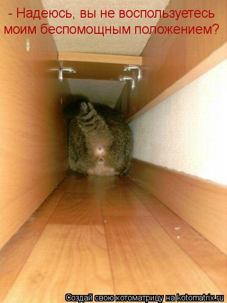 Котоматрица: - Надеюсь, вы не воспользуетесь моим беспомощным положением?