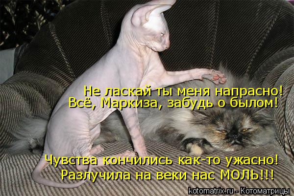 Не ласкай ты меня напрасно! Всё, Маркиза, забудь о былом! Чувства кончились как-то ужасно! Разлучила ... Котоматрица: Не ласкай ты меня напрасно! Всё, Маркиза, забудь о былом! Чувства кончились как-то ужасно! Разлучила на веки нас МОЛЬ!!!