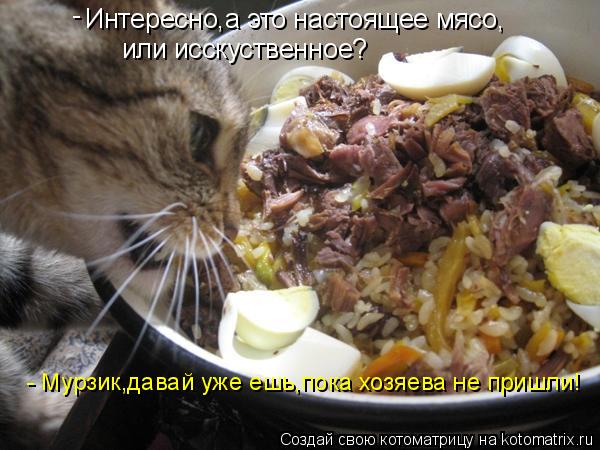 Котоматрица: Интересно,а это настоящее мясо, или исскуственное? - - Мурзик,давай уже ешь,пока хозяева не пришли!