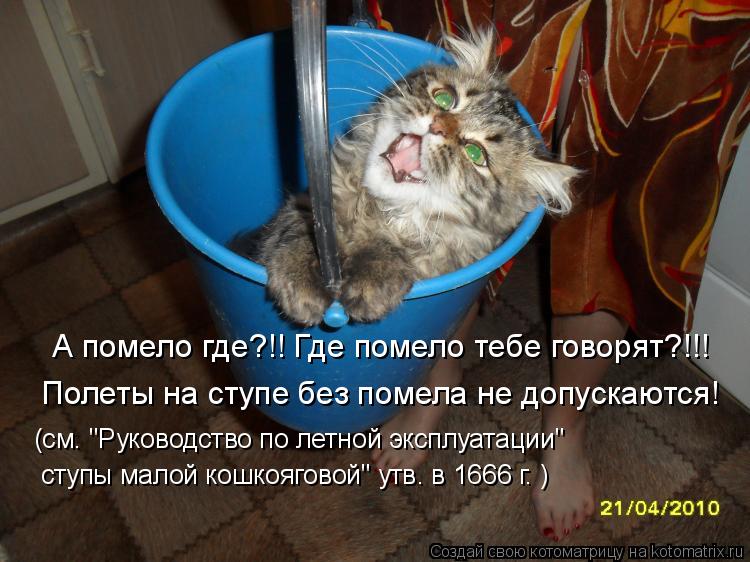 Котоматрица: А помело где?!! Где помело тебе говорят?!!! Полеты на ступе без помела не допускаются! (см. "Руководство по летной эксплуатации" ступы малой кош