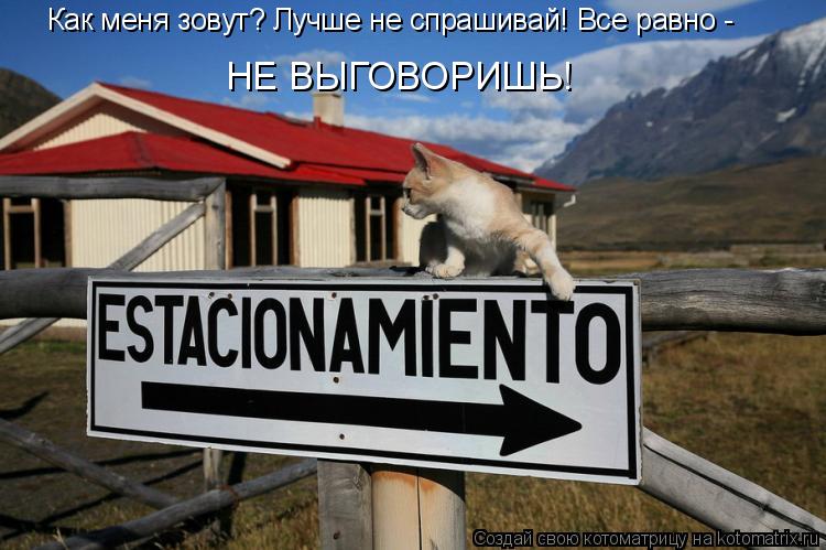 Котоматрица: Как меня зовут? Лучше не спрашивай! Все равно - НЕ ВЫГОВОРИШЬ!