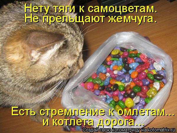 Котоматрица: Нету тяги к самоцветам. Не прельщают жемчуга. Есть стремление к омлетам... и котлета дорога...