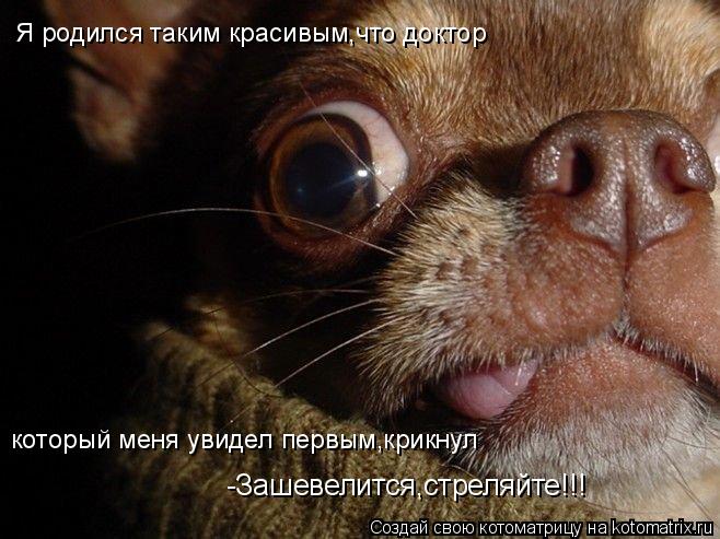 Я родился таким красивым,что доктор который меня увидел первым,крикнул -Зашевелится,стреляйте!!!... Котоматрица: Я родился таким красивым,что доктор который меня увидел первым,крикнул -Зашевелится,стреляйте!!!