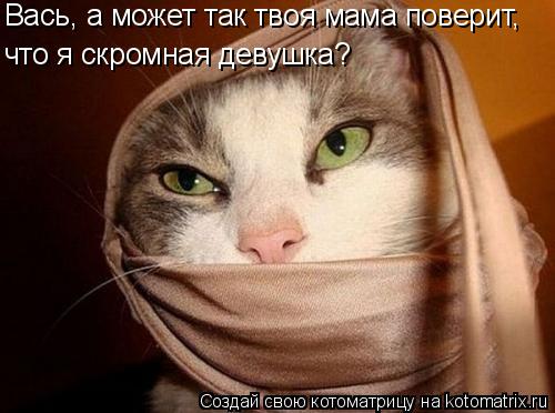 Вась, а может так твоя мама поверит, что я скромная девушка?... Котоматрица: Вась, а может так твоя мама поверит, что я скромная девушка?