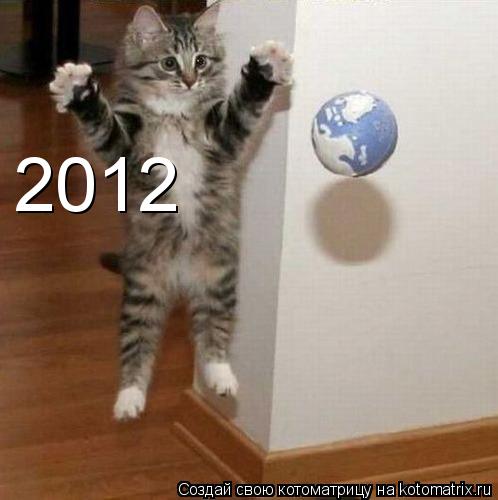 Котоматрица: 2012