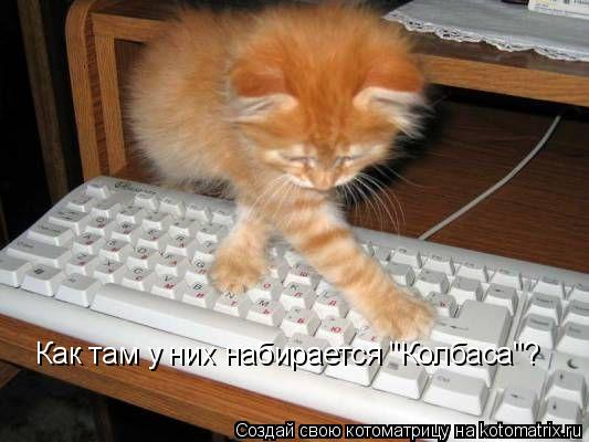 Котоматрица: Как там у них набирается "Колбаса"?