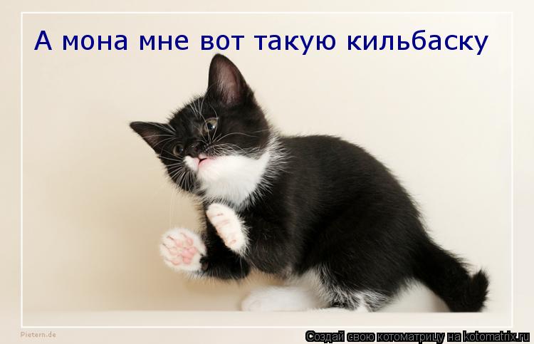 Котоматрица: А мона мне вот такую кильбаску