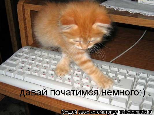 Котоматрица: давай початимся немного:)