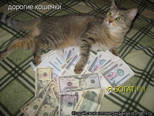 Котоматрица: дорогие кошечки.. ..Я БОГАТ!!!!!