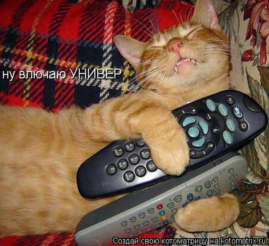 ну влючаю УНИВЕР... Котоматрица: ну влючаю УНИВЕР