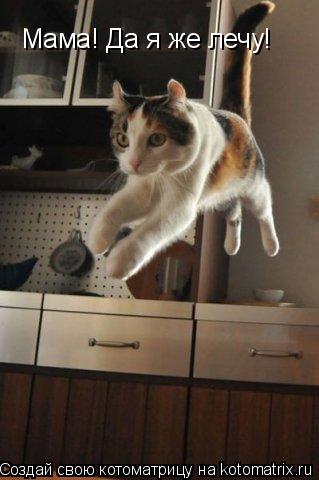 Мама! Да я же лечу!... Котоматрица: Мама! Да я же лечу!