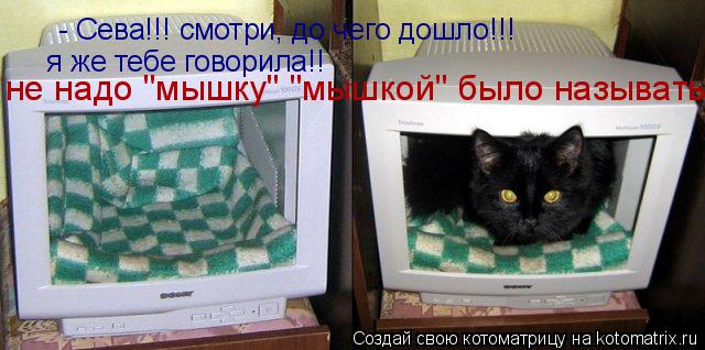 - Сева!!! смотри, до чего дошло!!! я же тебе говорила!! не надо "мышку" "мышкой" было называть!!... Котоматрица: - Сева!!! смотри, до чего дошло!!! я же тебе говорила!! не надо "мышку" "мышкой" было называть!!!!