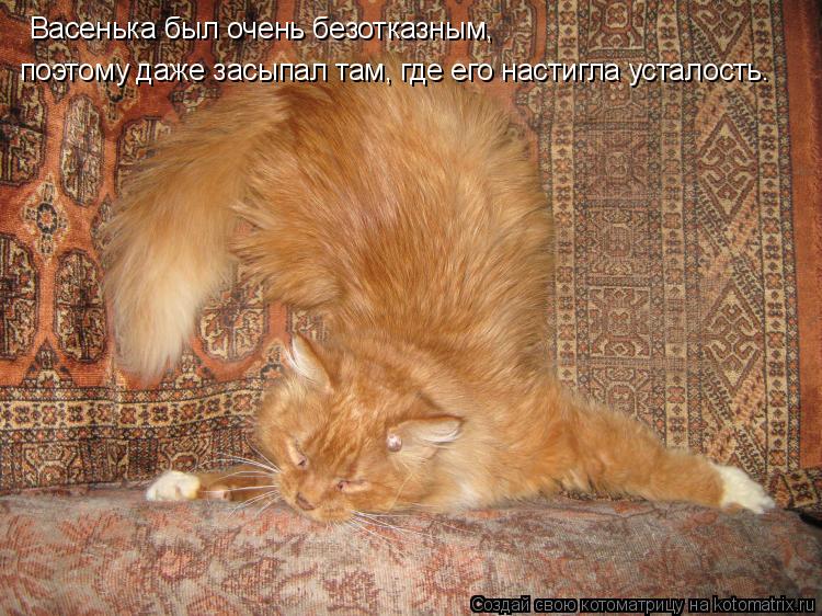 Васенька был очень безотказным, поэтому даже засыпал там, где его настигла усталость.... Котоматрица: Васенька был очень безотказным, поэтому даже засыпал там, где его настигла усталость.
