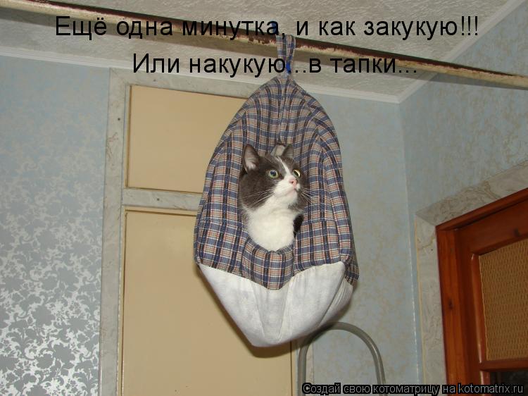 Ещё одна минутка, и как закукую!!! Ещё одна минутка, и как закукую!!! Или накукую...в тапки... ... Котоматрица: Ещё одна минутка, и как закукую!!! Ещё одна минутка, и как закукую!!! Или накукую...в тапки... Или накукую...в тапки...