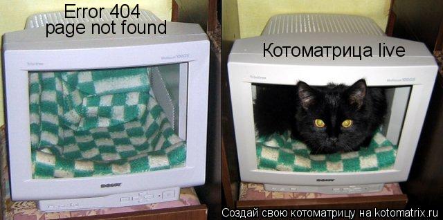 Котоматрица live Error 404 page not found... Котоматрица: Котоматрица live Error 404 page not found