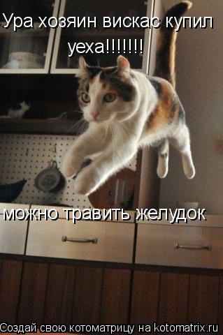 Ура хозяин вискас купил можно травить желудок уеха!!!!!!!... Котоматрица: Ура хозяин вискас купил можно травить желудок уеха!!!!!!!