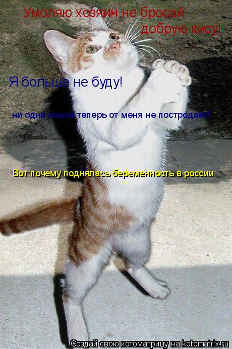 Умоляю хозяин не бросай добрую кису! Я больше не буду! ни одна кошка теперь от меня не постродает! В... Котоматрица: Умоляю хозяин не бросай добрую кису! Я больше не буду! ни одна кошка теперь от меня не постродает! Вот почему поднялась беременность в росси