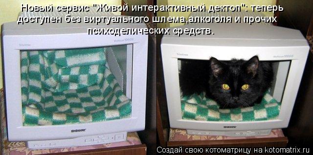 Новый сервис "Живой интерактивный дектоп": теперь доступен без виртуального шлема,алкоголя и прочих ... Котоматрица: Новый сервис "Живой интерактивный дектоп": теперь доступен без виртуального шлема,алкоголя и прочих психоделических средств.