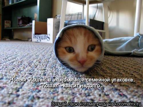 Новый "Кошак" в экономичной семейной упаковке. "Кошак" -хватит надолго.... Котоматрица: Новый "Кошак" в экономичной семейной упаковке. "Кошак" -хватит надолго.