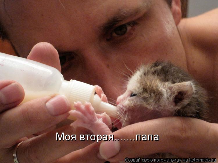 Моя вторая.......папа... Котоматрица: Моя вторая.......папа