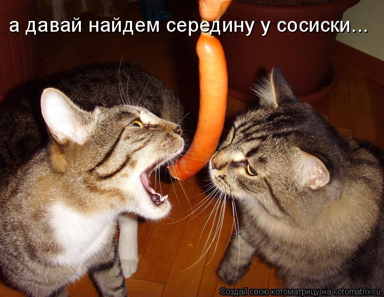 а давай найдем середину у сосиски...... Котоматрица: а давай найдем середину у сосиски...