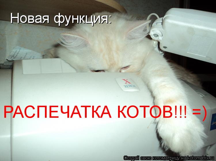 Новая функция: РАСПЕЧАТКА КОТОВ!!! =)... Котоматрица: Новая функция: РАСПЕЧАТКА КОТОВ!!! =)