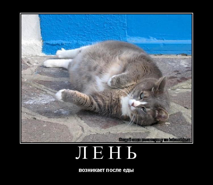 ЛЕНЬ возникает после еды... Котоматрица: ЛЕНЬ возникает после еды